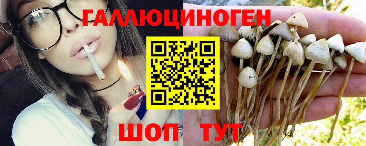 Саров  Псилоцибиновые грибы мицелий  Вход с VPN 